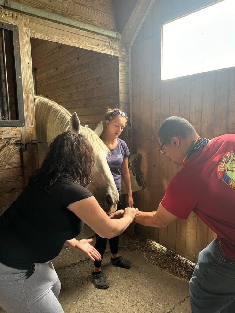 Breezy Lawn Farms Equestrian Therapy