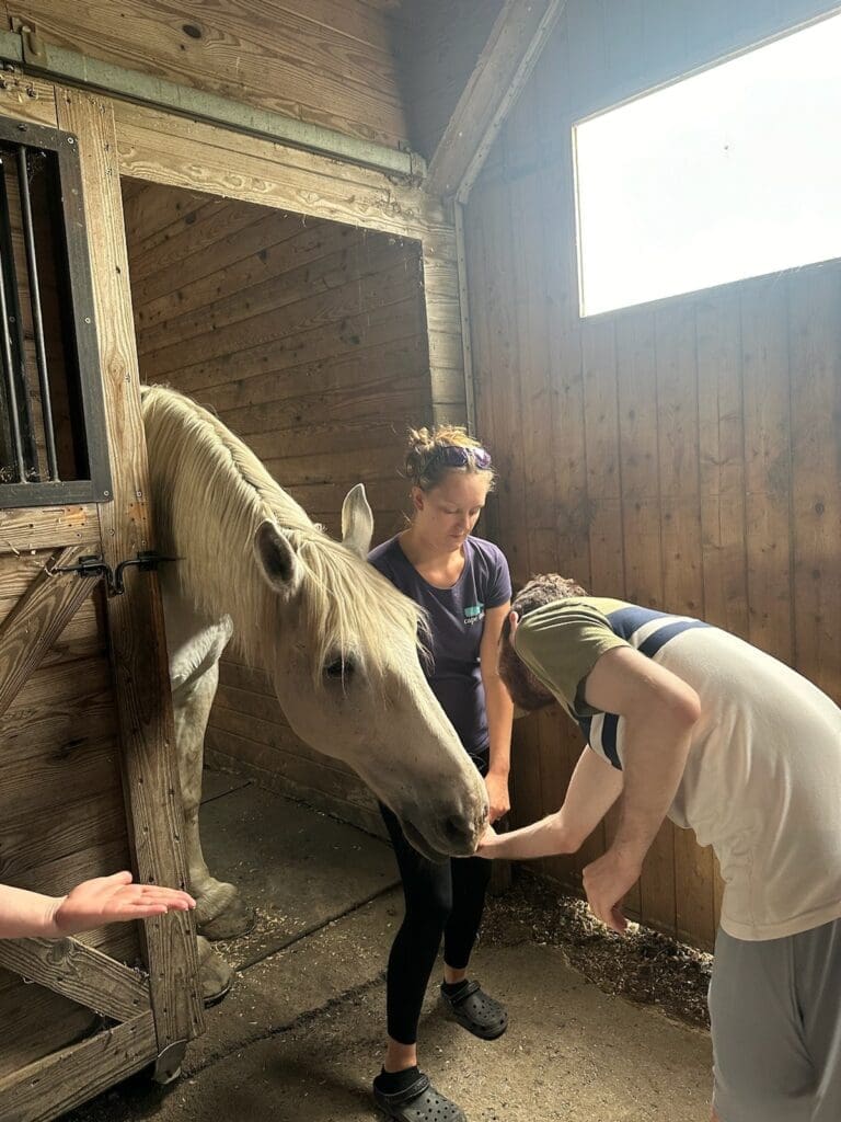Equestrian Therapy