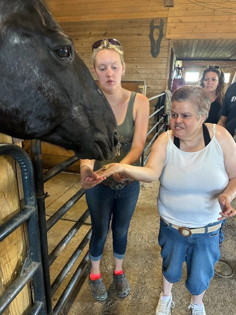 Catskill Day Hab Participants giving Treats to Horses at Breezy Lawn Farms