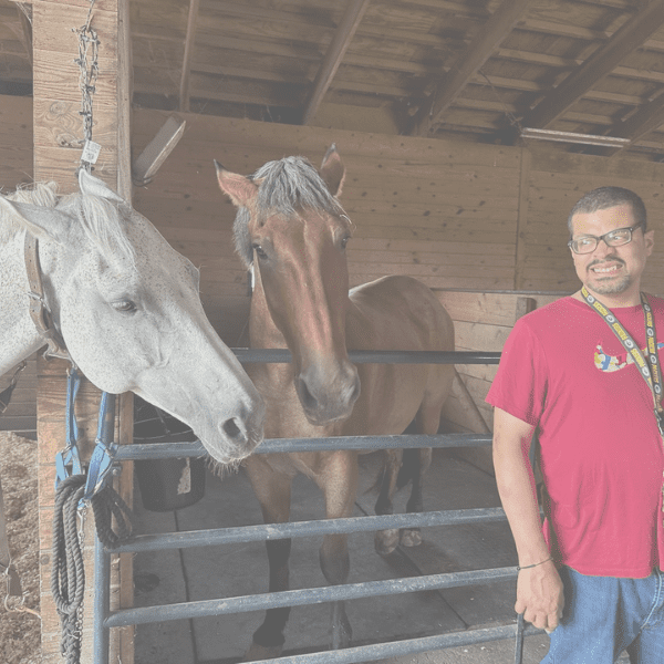 Man standing near two horses in a stable.