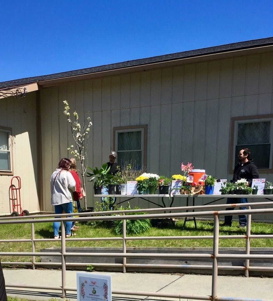Flower Fair and Flea in previous years
