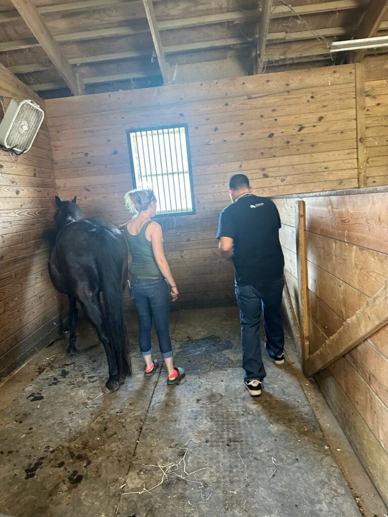 A man holding a white horse by the reins outside a barn.