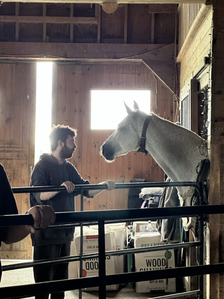 A man holding a white horse by the reins outside a barn.
