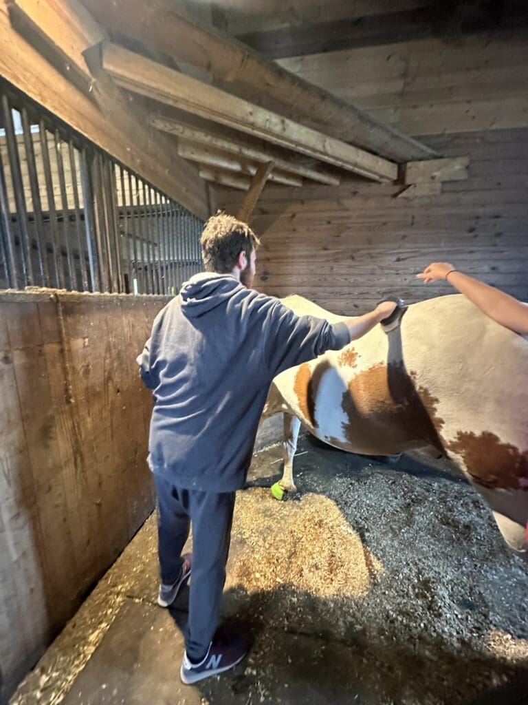A man holding a white horse by the reins outside a barn.