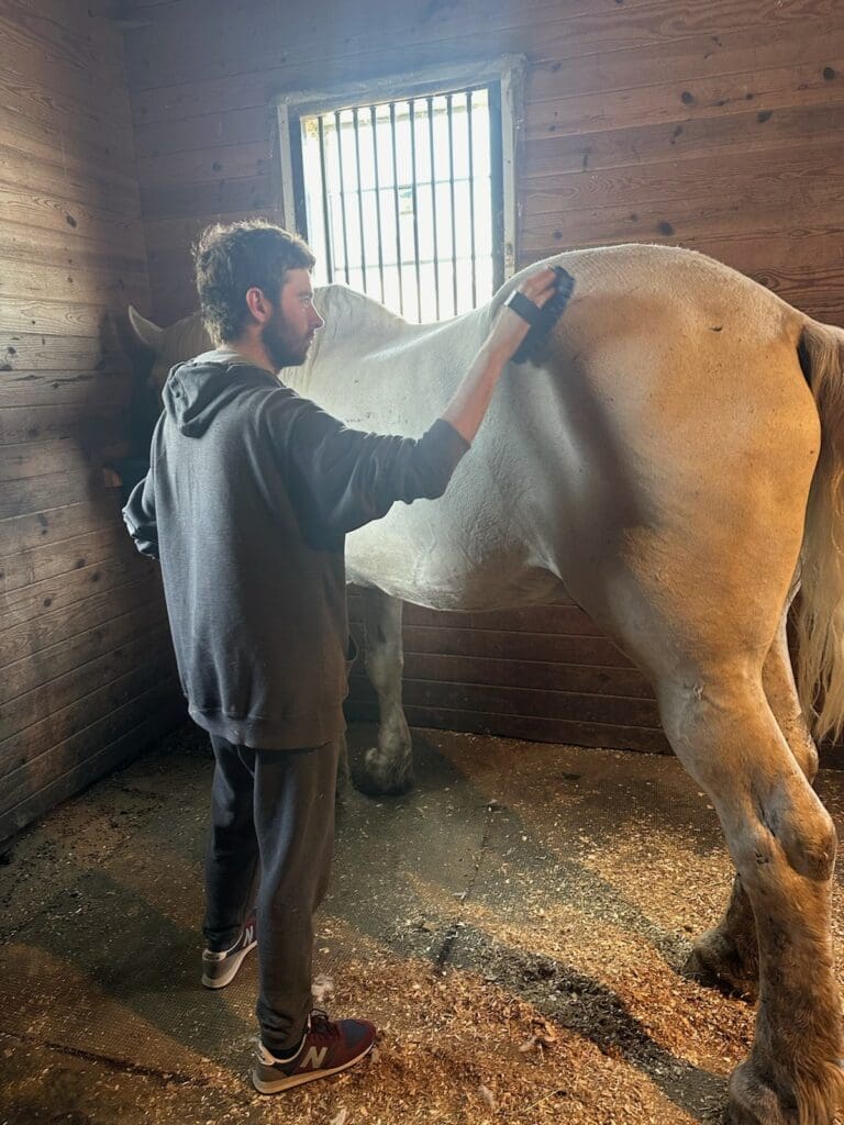 A man holding a white horse by the reins outside a barn.