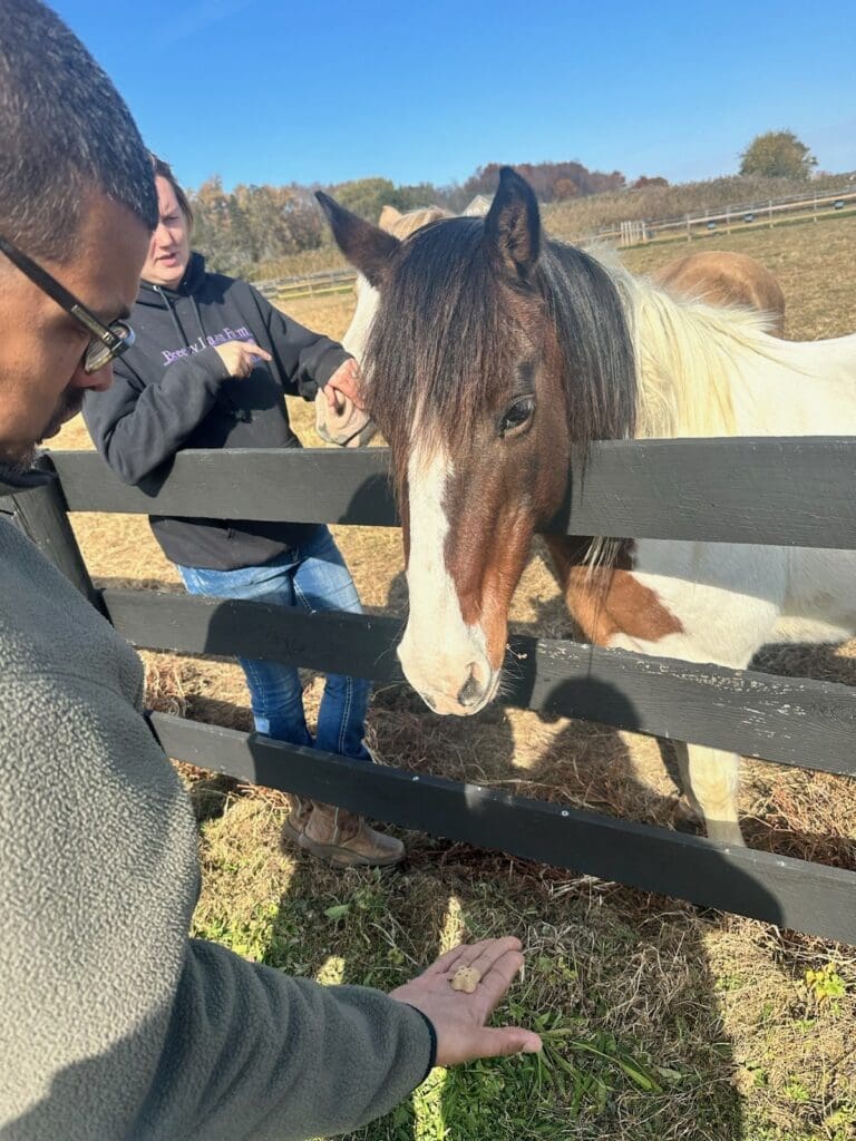 A man holding a white horse by the reins outside a barn.
