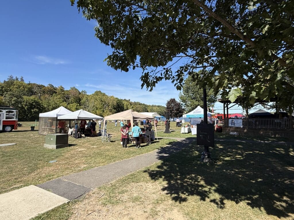 Outdoor market with tents and people under a tree on a sunny day.