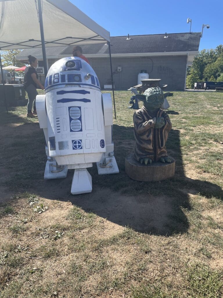 A person stands next to R2-D2 and a Star Wars droid on grass.